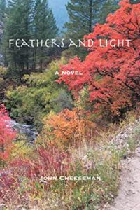 Feathers and Light cover